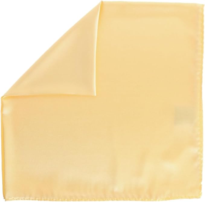 Vittorio Farina Men's Silky Satin Square Pocket Square