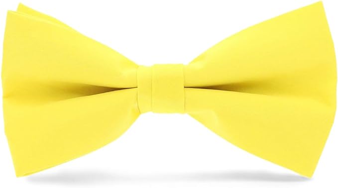 Vittorio Farina Men's Satin Bow Tie in Gift Box