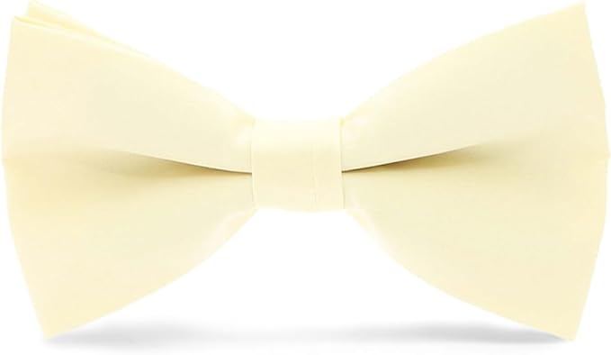 Vittorio Farina Men's Satin Bow Tie in Gift Box