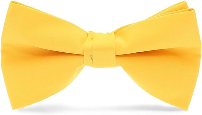 Vittorio Farina Men's Satin Bow Tie in Gift Box