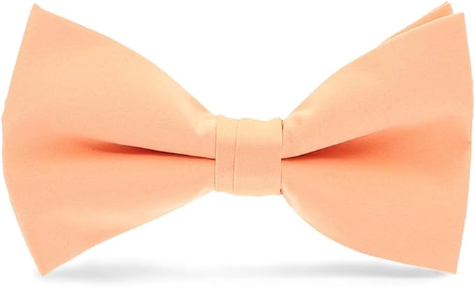 Vittorio Farina Men's Satin Bow Tie in Gift Box