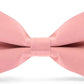 Vittorio Farina Men's Satin Bow Tie in Gift Box