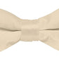 Vittorio Farina Boy's Pretied Solid Silky Satin Bow Tie