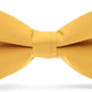 Vittorio Farina Men's Satin Bow Tie in Gift Box