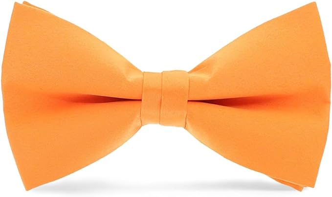 Vittorio Farina Men's Satin Bow Tie in Gift Box