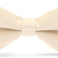 Vittorio Farina Men's Satin Bow Tie in Gift Box