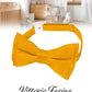 Vittorio Farina Boy's Pretied Solid Silky Satin Bow Tie