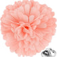 Vittorio Vico Unisex Carnation Flower Lapel Pin