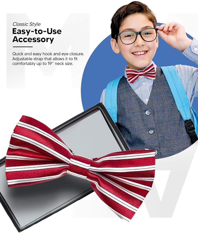 Vittorio Farina Boy's Design Satin Bow Tie