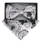 Vittorio Farina Men's Paisley Design Satin Bow Tie & Pocket Square in Gift Box