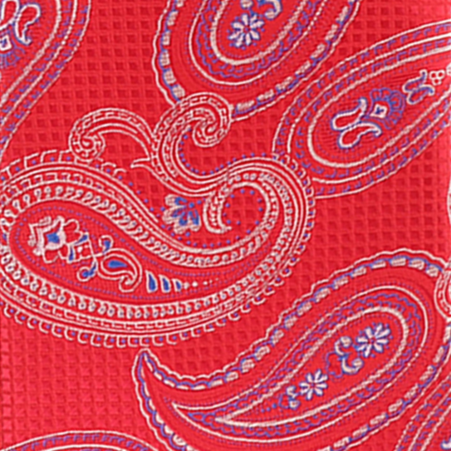 Vittorio Farina Paisley Designer Necktie & Pocket Square - NH-D-1268 - Classy Cufflinks