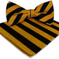 Vittorio Farina Striped Bow Tie & Pocket Square - bh-1552 - Classy Cufflinks