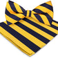 Vittorio Farina Striped Bow Tie & Pocket Square - bh-1554 - Classy Cufflinks