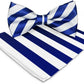 Vittorio Farina Striped Bow Tie & Pocket Square - bh-1563 - Classy Cufflinks