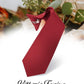 Vittorio Farina Boy's Clip Necktie - boys clip burgundy 16in - Classy Cufflinks