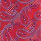 Vittorio Farina Paisley Designer Necktie & Pocket Square - NH-D-1283 - Classy Cufflinks