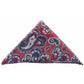 Vittorio Farina Designer Microfiber Pocket Square - PS-D_116 - Classy Cufflinks